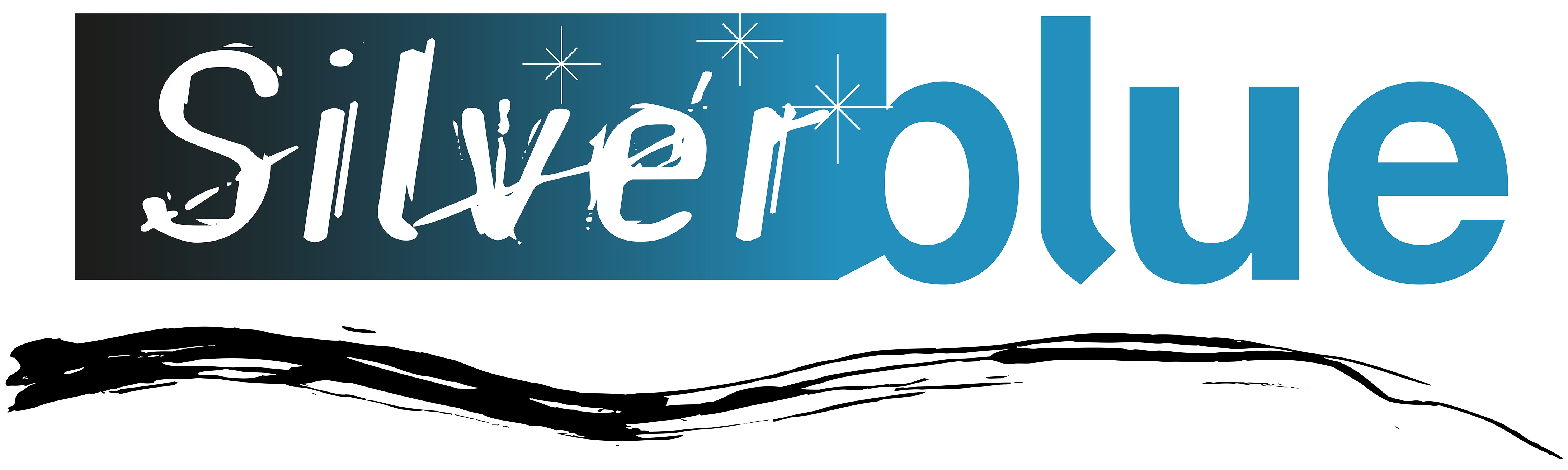 feest-DJ's Evergem Silverblue
